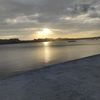 roycedainne02