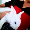 phyo62636