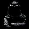 karar__515__