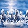 lionsm.y.bagsuppliers33