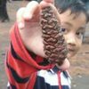 indra.beny0