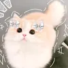 yuringuyen809