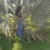 mariaa34651