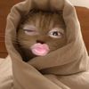 lilii622__