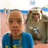 lance.lapeceros