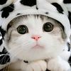 user7910705569478