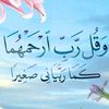 gr_an35