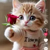 tomegha