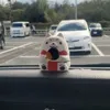 miwatetsuya2