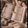 aya.mahmoud0103