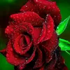 zz_li32