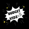 Budget Vidz