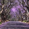 quirkyquokka254