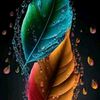 max.santosa8