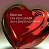 nadin.lion1