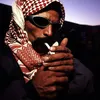 arabconsigliere