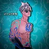 soy_zinxes