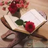 user3353308707726