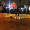 linda904528