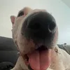mollythebt