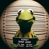 frog23455zk
