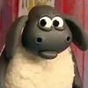 taodo_3