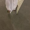 niicl_4