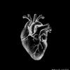 junia_48