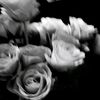 aylinruiz_457