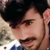 alirezanooroallahzadeh8