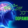 dopamindluc