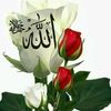 user4909214884876
