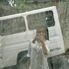 teyangz_06