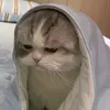 kha.dng2
