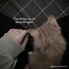 xgdychdfjh