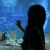 liandrayin_13