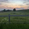 vembryrsig_12