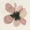 ruqaya.khaled8