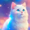 nash_653