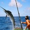 BIG FISHING