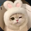 .meowbili