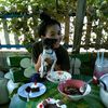 dymd5rdjap070