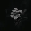 lythng12
