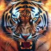 Ahmed.mtr