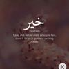 khayr24434