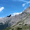 ichbin_61
