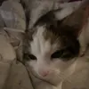 hejjjjemiliahrrrr