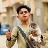 ayham7237