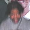alvinandthechipmunksstan