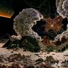sunlight_moon55